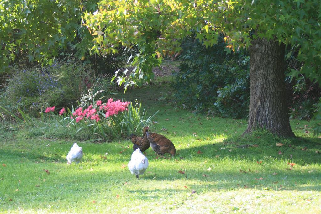 Strathmore Farm B&B Mirboo North Bagian luar foto
