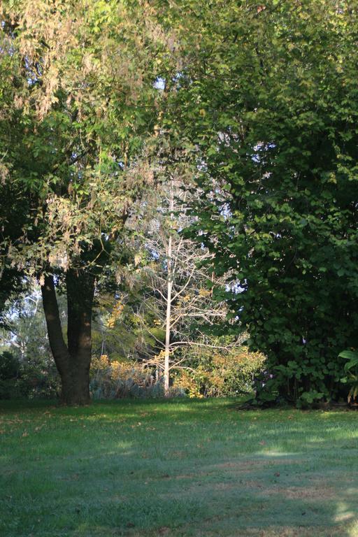 Strathmore Farm B&B Mirboo North Bagian luar foto