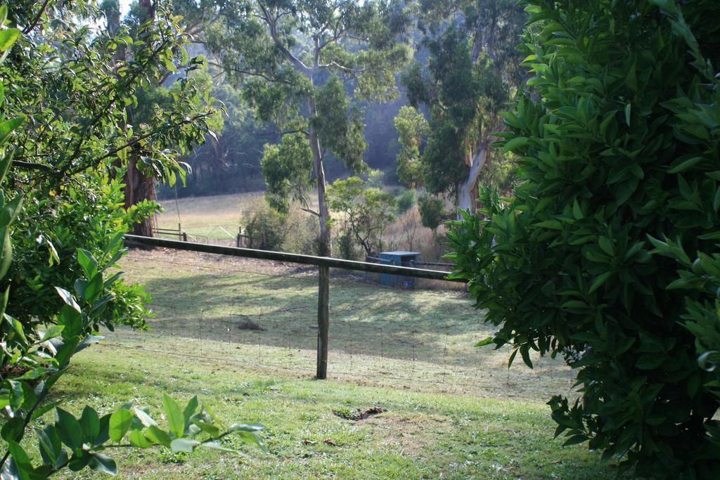 Strathmore Farm B&B Mirboo North Bagian luar foto