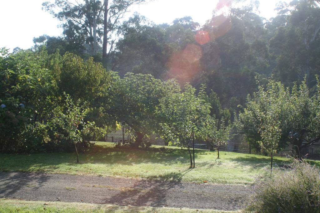Strathmore Farm B&B Mirboo North Bagian luar foto