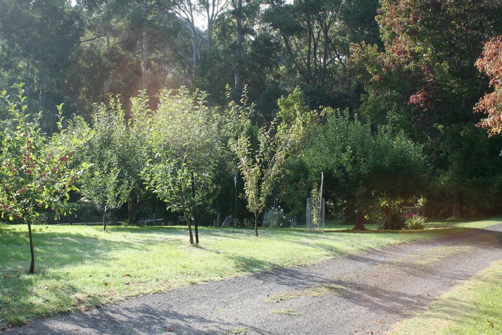 Strathmore Farm B&B Mirboo North Bagian luar foto
